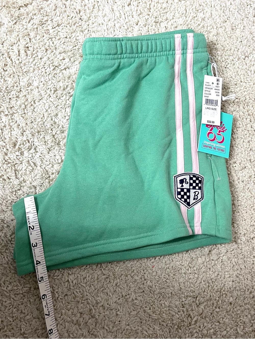 PacSun Barbie Mint Green Lounge Shorts with Light Pink Stripes - Picture 9 of 9